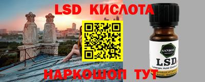 шишки Волжский