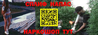 шишки Волжский