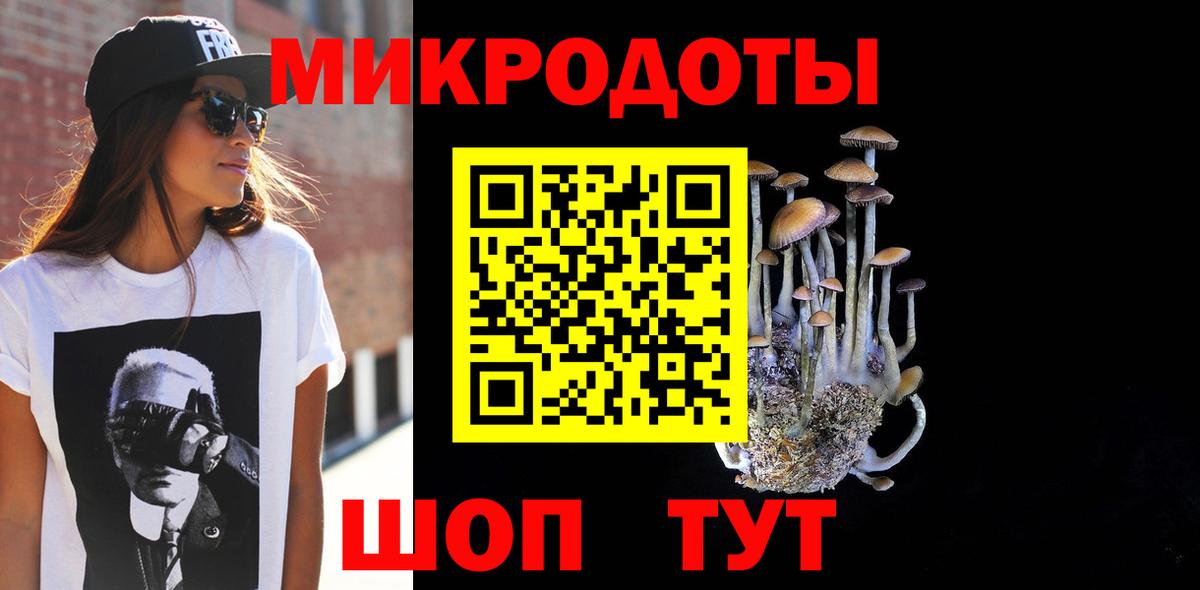 Галлюциногенные грибы Cubensis  Галлюциногенные грибы мицелий  Вход с VPN  Дивногорск 